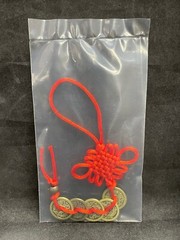 Sifu Collector’s Redemption Edition Tenacity Pendant ONLY BRAND NEW