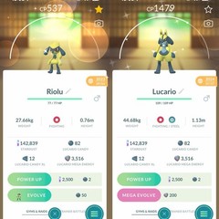 Pokémon Shiny Riolu OR Lucario Unregistered 500k-1million Dust Instant Trade Go