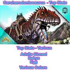 Ark Survival Ascended PVE – Carchar Top Stats / 560% Mele Base XBOX/PC/PS5 – ASA