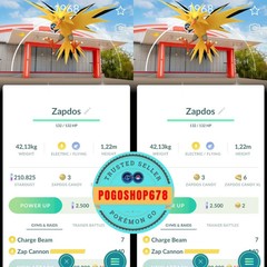 Pokémon PTC Go – Shiny Zapdos ✨ PokePark Kanto Background ✨ Mini 80k Stardusts