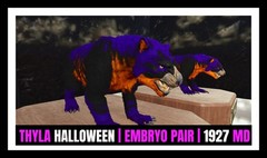 ARK Survival Ascended PvE THYLA THYLACOLEO HALLOWEEN TOP 1927 MD PC/XBOX/PS5 ASA