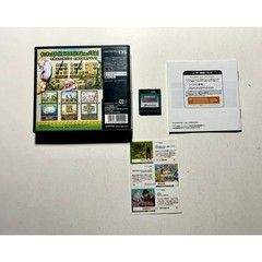 Soloel Puzzle Fairy Tale Kingdom(Nintendo DS)Complete CIB Works🔥Nice!