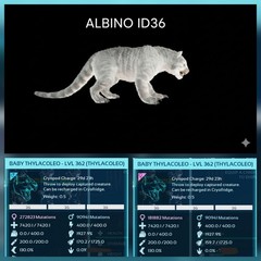 THYLA ALBINO ID36 PAIR BABY TOP MELEE 1927.9% ARK ASCENDED PVE PC/XBOX/PS5