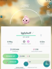 Rare Pokemon Baby Igglybuff Safe Trade And Fast