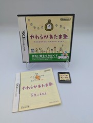 Big Brain Academy – Yawaraka Atama Juku (Nintendo DS) Japanese Import US Seller