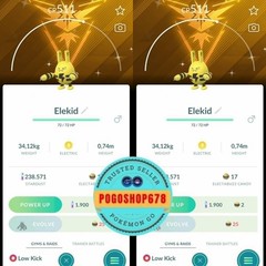 Pokémon PTC Go – Shiny Elekid with Spark Accessory Instinct Background ✨