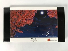 21-TwoOne- Limited Edition Japanese VN PC Game for Windows 95/98/Me/2000 USED