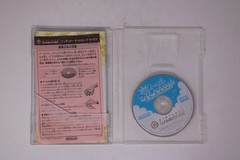 Super Mario Sunshine Nintendo GameCube JPN