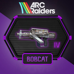 ARC Raiders|BOBCAT BLUEPRINT|In-Raid Trade|Fast Delivery 🟢
