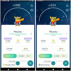 ✨Shiny Pikachu Excavator – Fossil Museum (Male-Female)✨ – P T C – Description