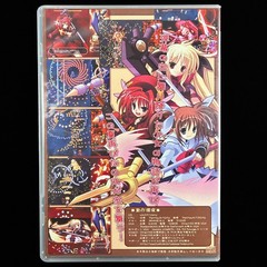 Magical Girl Lyrical Nanoha Taiken 2nd Chu Shoot ’em Up PC CD Doujin Game Japan