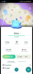 Shiny Ditto Special Background – 20k dust or P T Cs