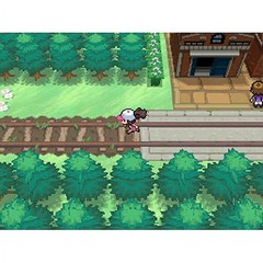 Pokémon White Version (2011)–Nintendo DS Game Cartridge with Color Box Packaging