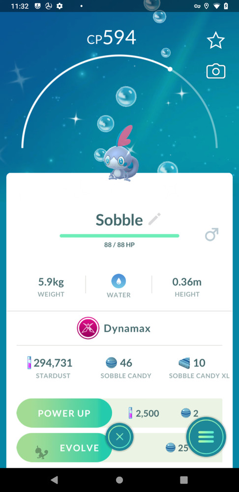 ✨ Shiny Dynamax Sobble | P—T—C