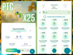 Pokémon Squawkabilly Green x25 | mini PTC | Go